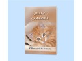 pdf-jesus-e-os-animais-small-1