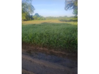 VENDO TERRENO ARROYO HONDO VIEJO