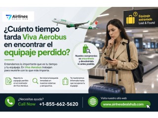 ¿Equipaje Perdido en Viva Aerobus? Obtén Ayuda y Seguimiento Rápido