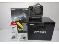 canon-eos-r3-canon-eos-r6-mark-ii-canon-eos-r5-canon-eos-r6-canon-r7-canon-eos-1d-x-mark-iii-canon-5d-mark-iv-nikon-z9-nikon-z8-nikon-z-7ii-small-2