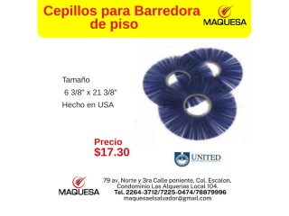 Cepillos para Barredora