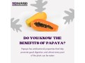 how-eating-papaya-supports-heart-health-small-0