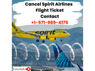 Spirit Flight Cancelled: What If Spirit Cancelled My Flight? - Farezhub