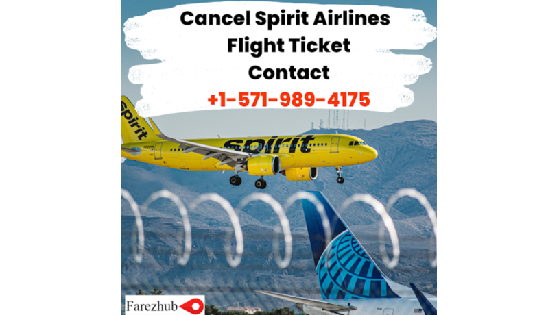 spirit-flight-cancelled-what-if-spirit-cancelled-my-flight-farezhub-big-0